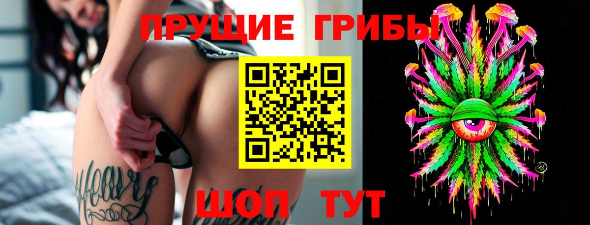 Александров  Галлюциногенные грибы GOLDEN TEACHER  Вход с VPN  Галлюциногенные грибы Magic Shrooms 
