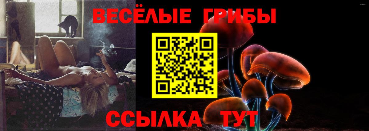 Псилоцибиновые грибы Cubensis Александров
